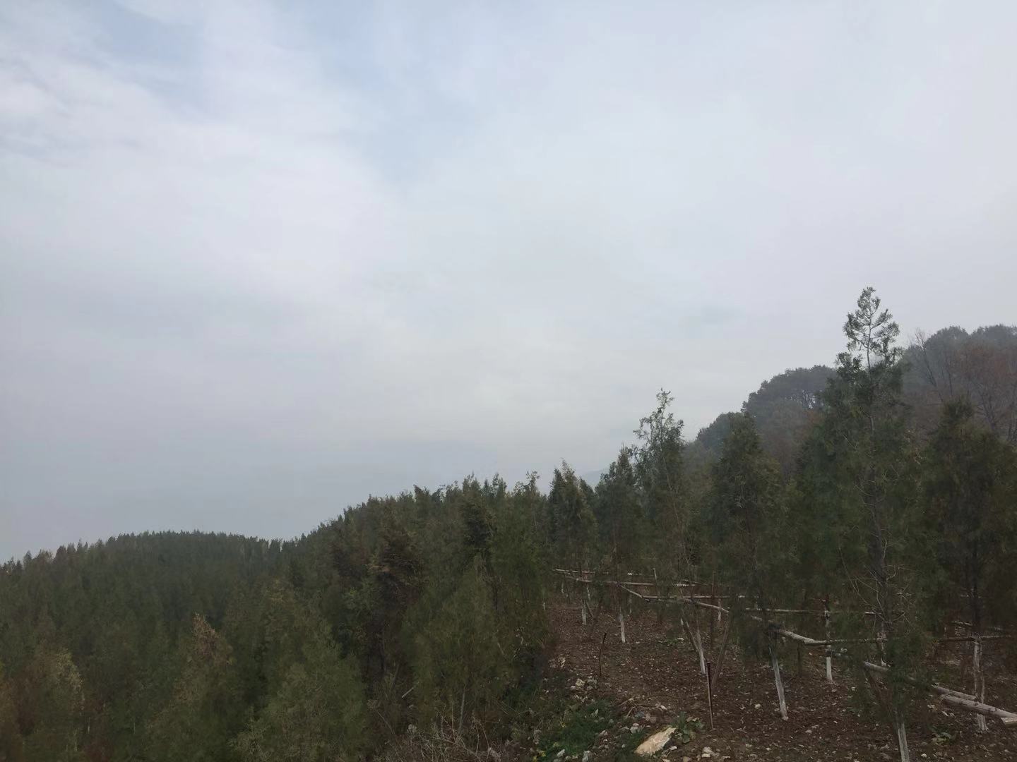 [矿山生态修复] 蓝田小寨灰岩矿山治理工程
