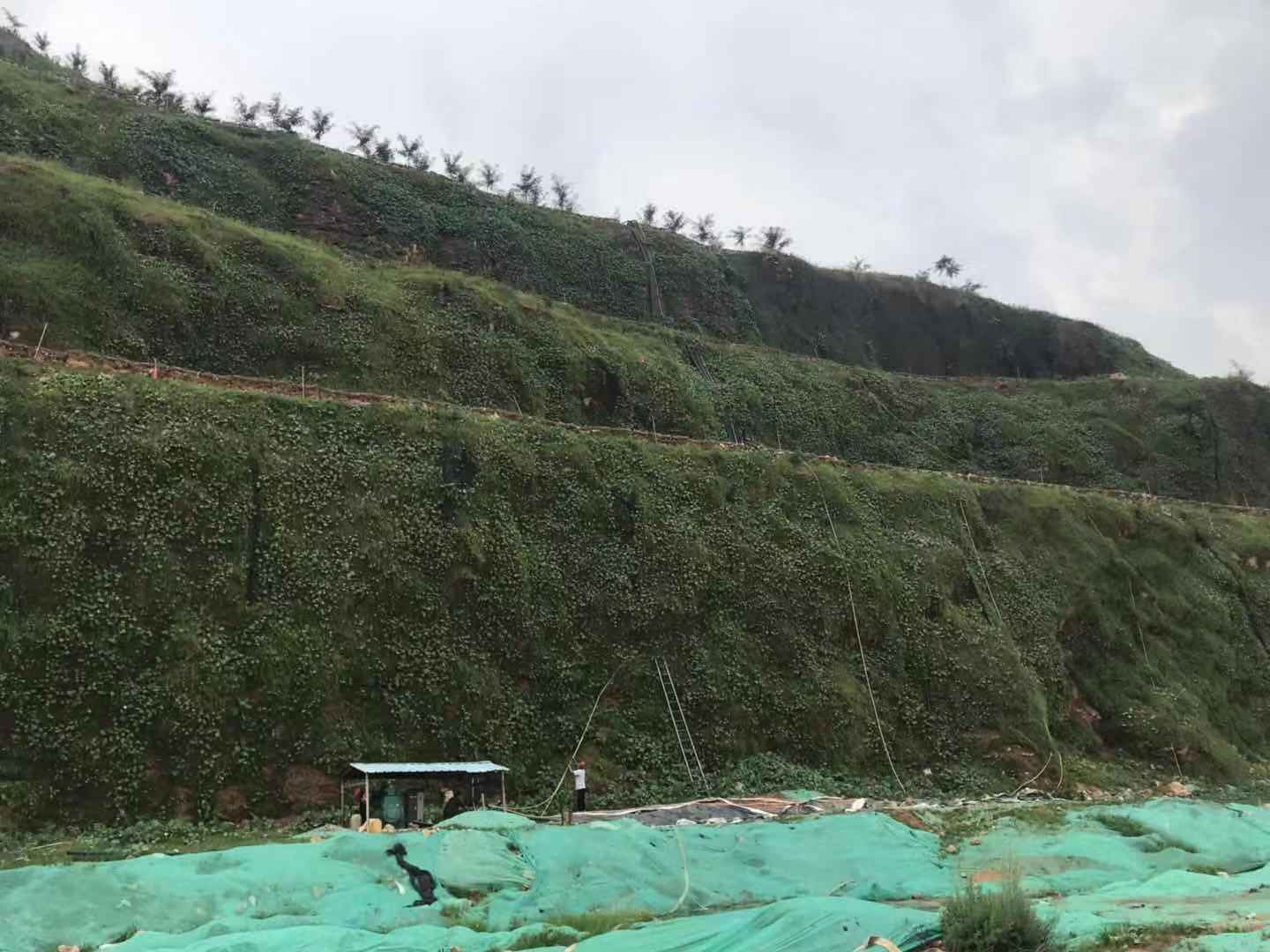【矿山生态修复】实丰矿山治理工程